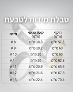 טבעת מעקב בריאותי | AURA RING